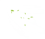新風(fēng)系統(tǒng)